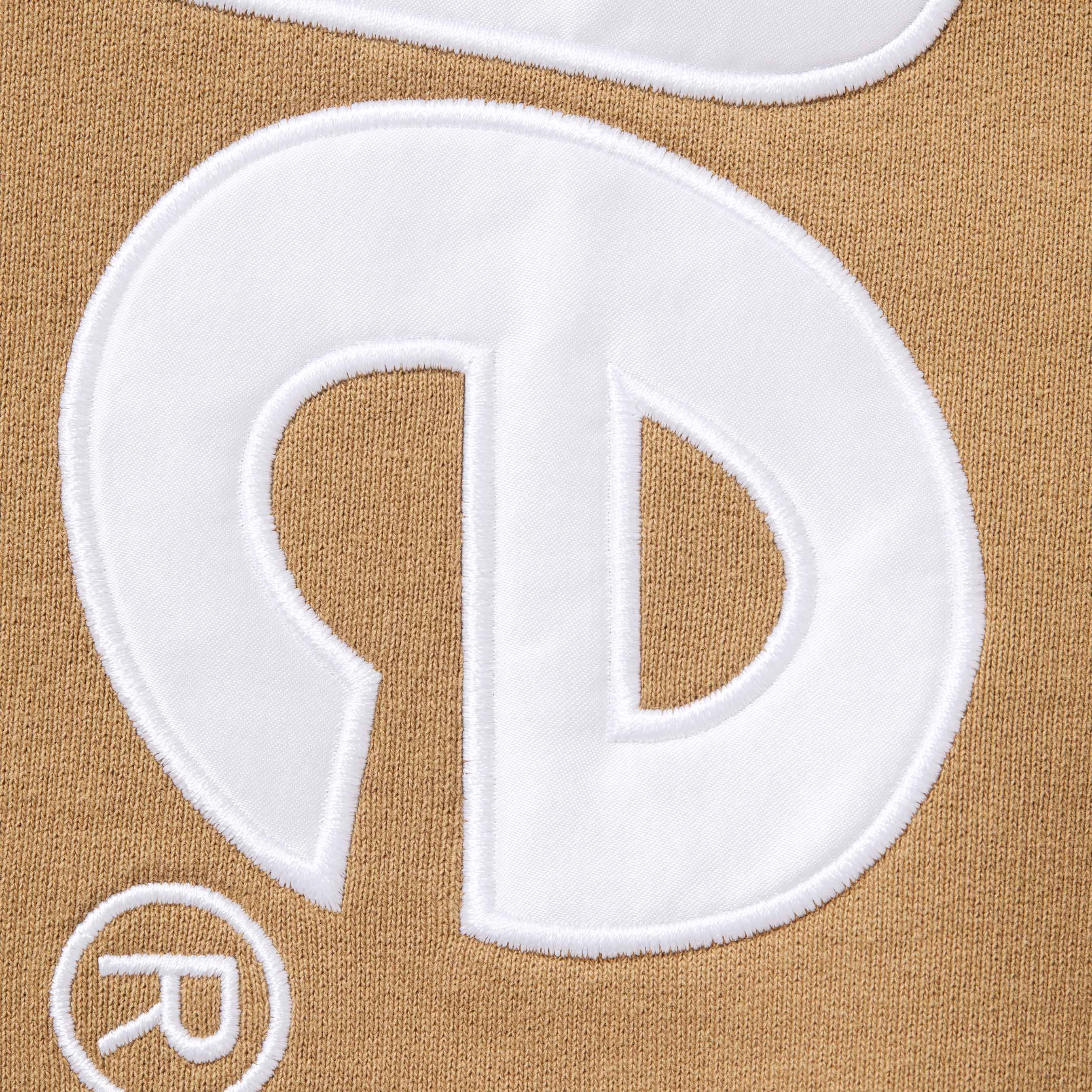 Satin Appliqué Hooded Sweatshirt view 4